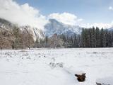 Yosemite Fall 022